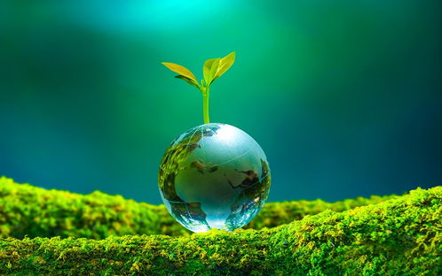 中國(guó)版綠色發(fā)展馬歇爾計(jì)劃 提升金融國(guó)際影響力與生態(tài)環(huán)境材料銷售的雙贏戰(zhàn)略