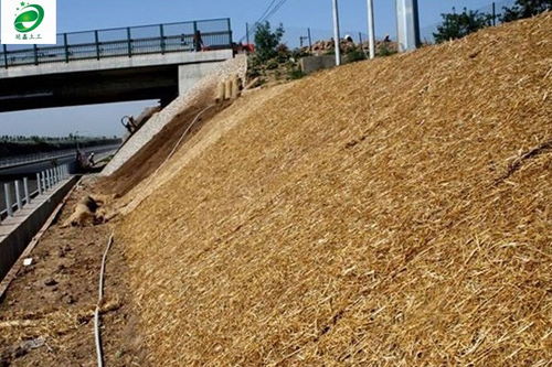 白銀市延鑫直銷 生態毯護坡發貨快，廠家直銷助力綠色建設